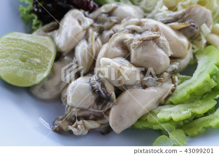 raw fresh pacific Oysters seafood organic restaura raw fresh pacific Oysters seafood organic restaura 43099201