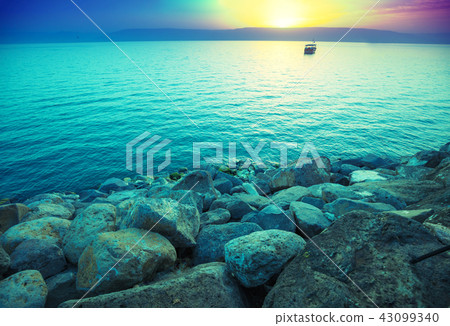 Rocky seashore in the morning. Lake Kinneret 43099340