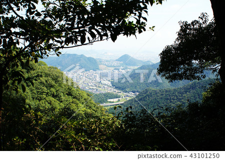 從山道路看見的城堡鎮往岐阜城堡 從山道路看見的城堡鎮往岐阜城堡 43101250
