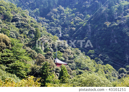 通往Kinkakuyama索道,岐阜城堡的空中路線 通往Kinkakuyama索道,岐阜城堡的空中路線 43101251