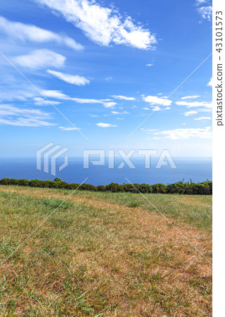 Yamaguchi Prefecture Senjojiki (August 2018) Yamaguchi Prefecture Senjojiki (August 2018) 43101573