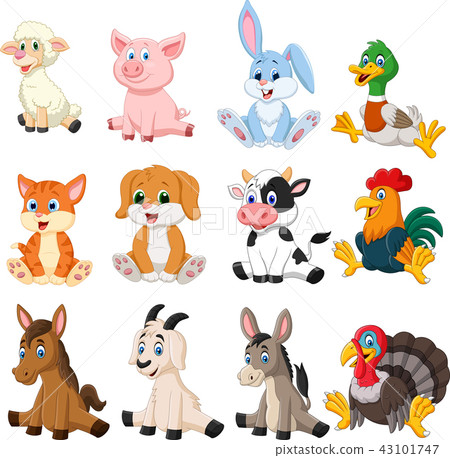 Farm animal collection set Farm animal collection set 43101747