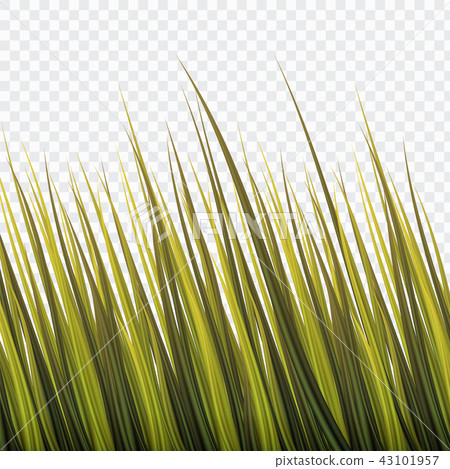 Waving Green Bush Grass,Realistic Style 43101957