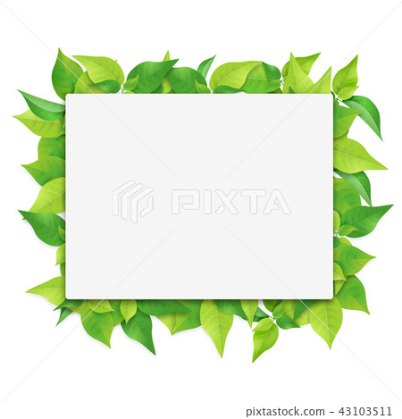 白板葉（PNG，剪裁材料） 43103511