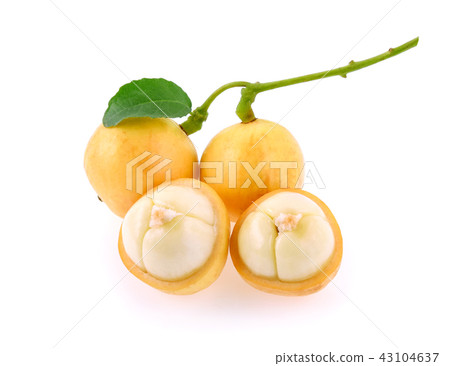 burmese grape(Baccaurea ramiflora) on white  43104637