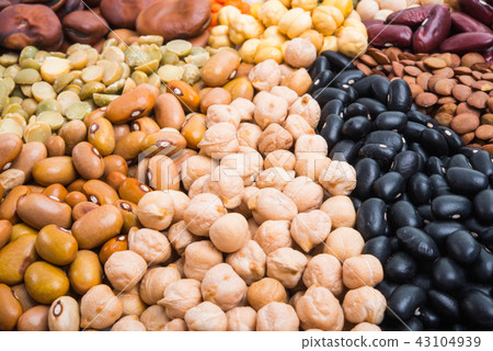 set of legumes isolated set of legumes isolated 43104939