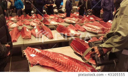 Lively market in the morning Tuna fillets Lively market in the morning Tuna fillets 43105555