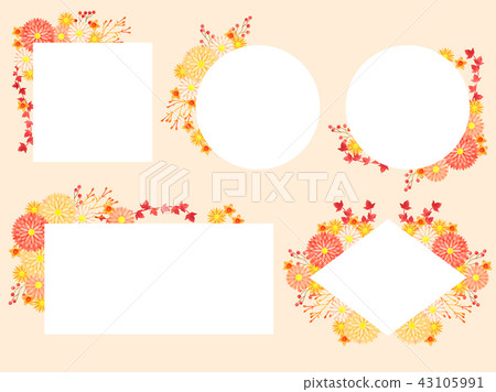 Aster Frame 43105991