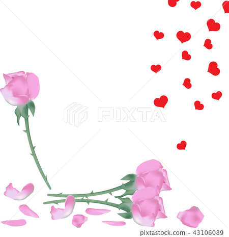 Pink roses flowers with fallen petals, vector eps Pink roses flowers with fallen petals, vector eps 43106089