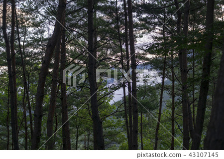 Jangguk Mok, Andong City, Gyeongbuk Jangguk Mok, Andong City, Gyeongbuk 43107145