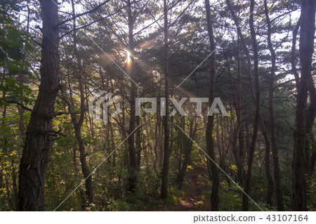 Gyeongbuk,安東市Jangguk Mok Gyeongbuk,安東市Jangguk Mok 43107164