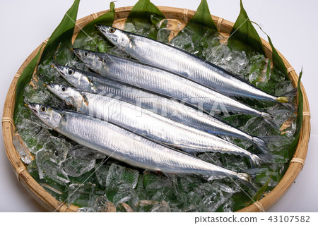 三馬成分 43107582