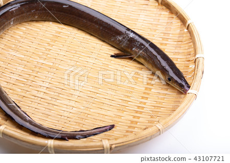 Hamo Foodstuff 43107721