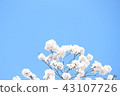 Sakura (empty bag) 43107726