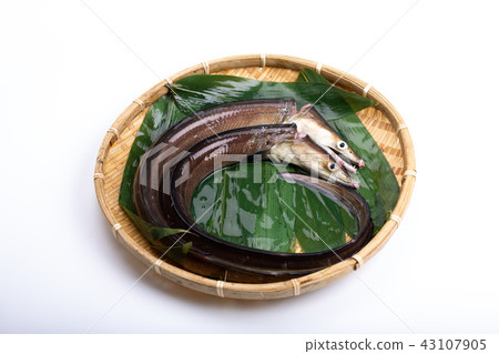 Hamo Foodstuff 43107905