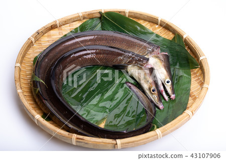 Hamo Foodstuff Hamo Foodstuff 43107906