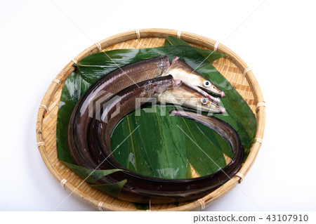 Hamo Foodstuff 43107910