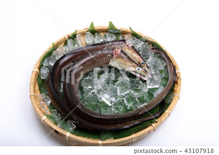 Hamo Foodstuff Hamo Foodstuff 43107918