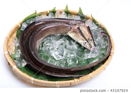 Hamo Foodstuff 43107924