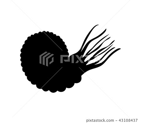 Ammonit mollyusk silhouette fossil prehistoric animal Ammonit mollyusk silhouette fossil prehistoric animal 43108437