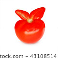 Red fresh tomato isolated (rabbit shape) with ears 43108514