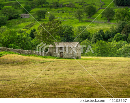 Swaledale Barns and stone walls 43108567