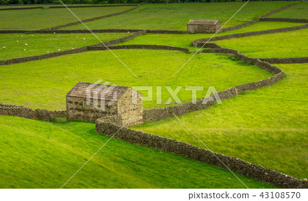 Swaledale Barns and stone walls 43108570