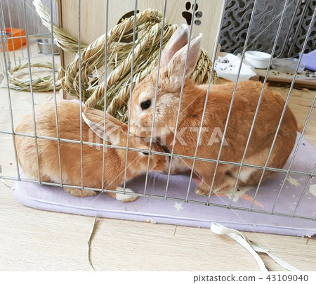 好兄弟之間 好兄弟之間 43109040