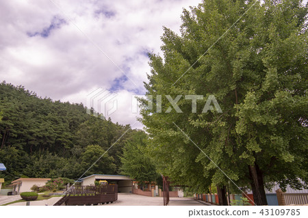 慶北安東市Onhye小學 慶北安東市Onhye小學 43109785