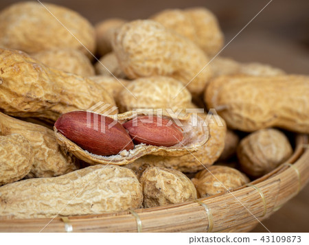 Dried peanuts in shells on peanuts background Dried peanuts in shells on peanuts background 43109873