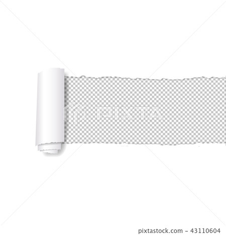 Torn Paper Edge White Background Torn Paper Edge White Background 43110604