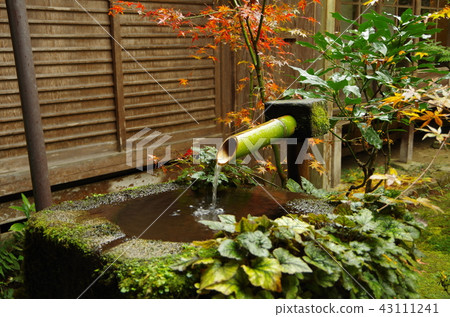 Tsukubai that floods the water in the grounds of Sanzenin [Sakyo Ward, Kyoto City] 43111241