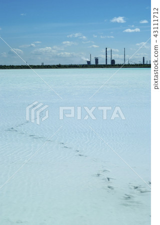 bird tracks in a dead lake bird tracks in a dead lake 43111712