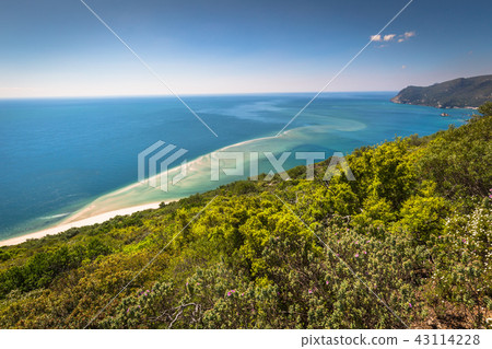 Beautiful landscape view of the National Park Beautiful landscape view of the National Park 43114228
