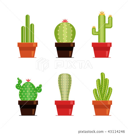 Decorative cactus set with prickles on the white background. Home plants cactus in pots and with Decorative cactus set with prickles on the white background. Home plants cactus in pots and with 43114246