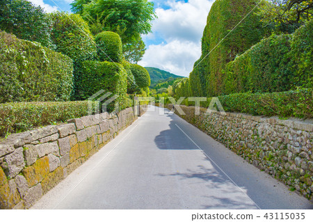 Kagoshima · Kamen's samurai residence building street 43115035