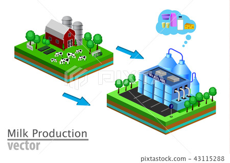 Dairy product delivery stages milk can processing Dairy product delivery stages milk can processing 43115288