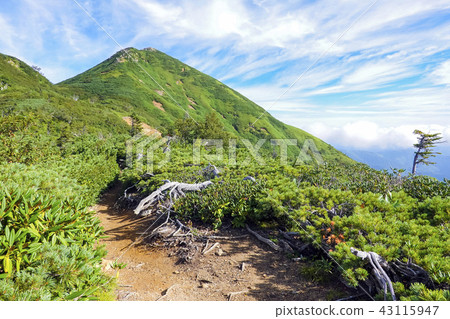 在夏天的Uketake山 在夏天的Uketake山 43115947