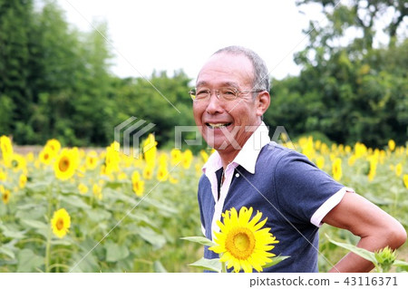 悲傷的笑聲 悲傷的笑聲 43116371