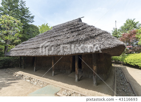 Initial restoration dwelling founded in the vicinity of Odaira Ohora (Kodaira-shi, Tokyo) 43116693