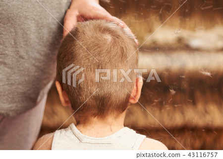 A man cuts machine child at home. A man cuts machine child at home. 43116757