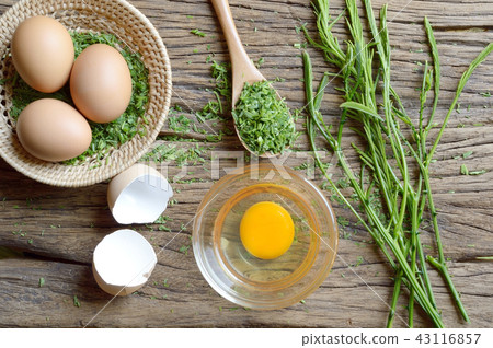 omelet cooking 43116857