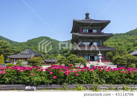 Chungcheongbuk-do, South Korea, Jincheon, Chungcheongbuk-do, South Korea, Jincheon, 43118706