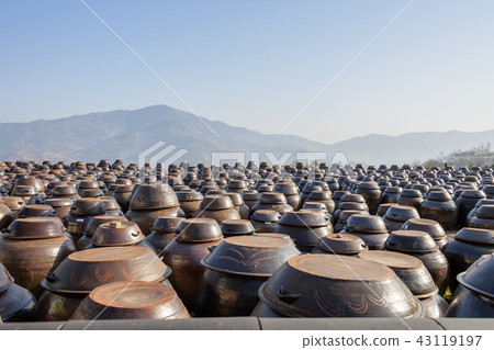 全羅南道，韓國，光陽，梅花村 43119197