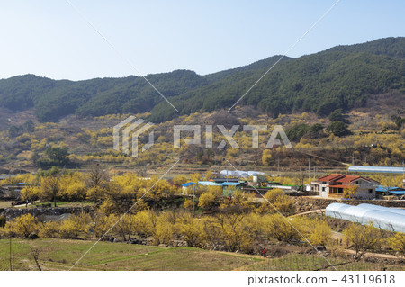 Jeollanam-do, Korea, Gurye, Mountain Village 43119618