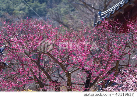 Jeollanam-do, Korea, Hwaeomsa Temple, 43119637