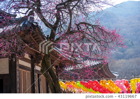 Jeollanam-do, Korea, Hwaeomsa Temple, 43119667