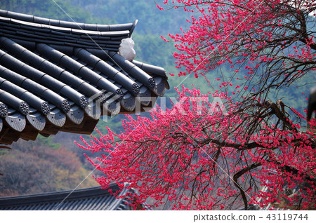 Jeollanam-do, Korea, Hwaeomsa Temple, 43119744