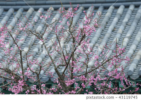 Jeollanam-do, Korea, Hwaeomsa Temple, 43119745