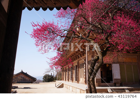 Jeollanam-do, Korea, Hwaeomsa Temple, Jeollanam-do, Korea, Hwaeomsa Temple, 43119764